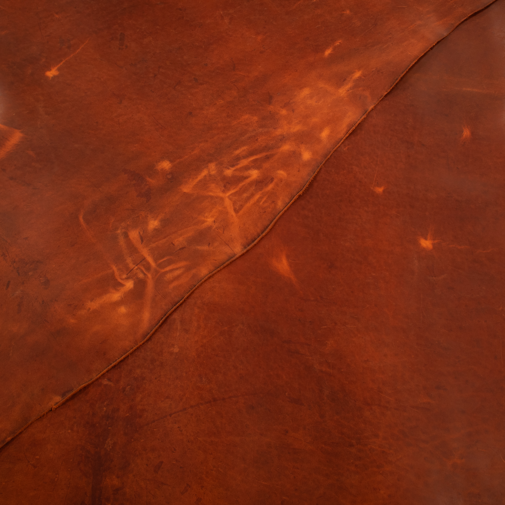 Horween - Wrangler Horsehide Front - English Tan - Maverick