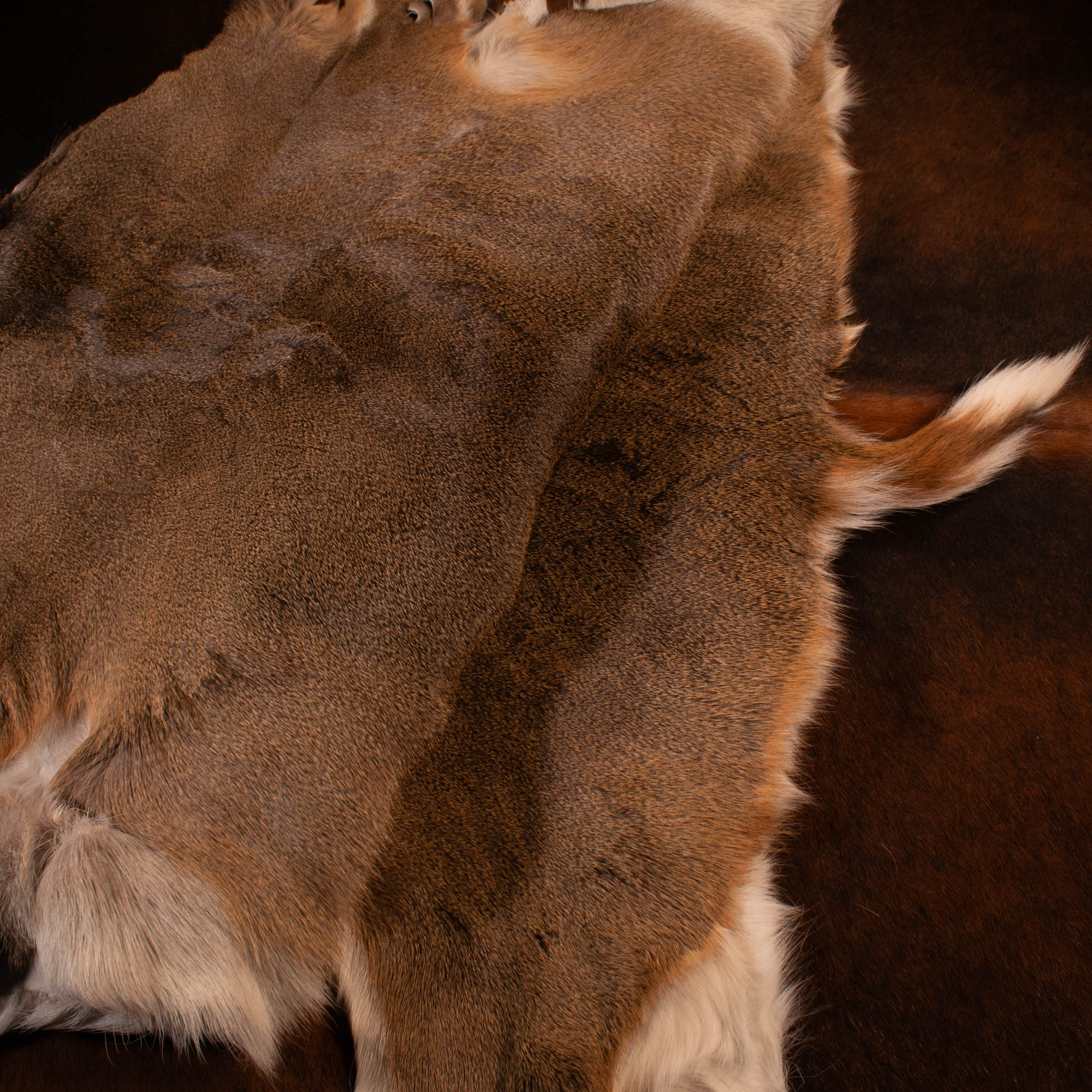 Hair-on Deerskin Wholehides - Maverick Leather Company